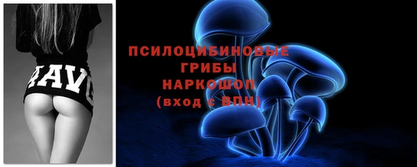 ПСИЛОЦИБИНОВЫЕ ГРИБЫ Алзамай