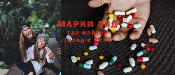 ПСИЛОЦИБИНОВЫЕ ГРИБЫ Алзамай