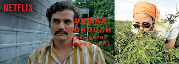 ПСИЛОЦИБИНОВЫЕ ГРИБЫ Алзамай