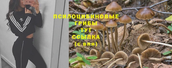 гашик Елизово
