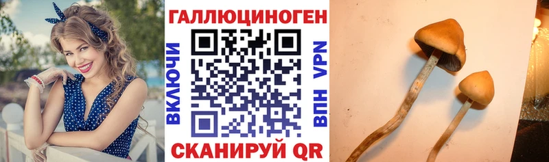 Галлюциногенные грибы мухоморы Шацк