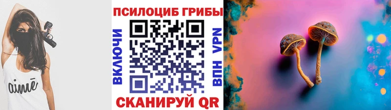 KRAKEN зеркало  хочу   Шацк  Псилоцибиновые грибы Psilocybine cubensis 